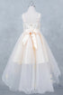 Butterfly Princess Dress for Girls 2-12